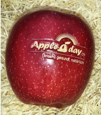 Appleaday - Logo Früchte